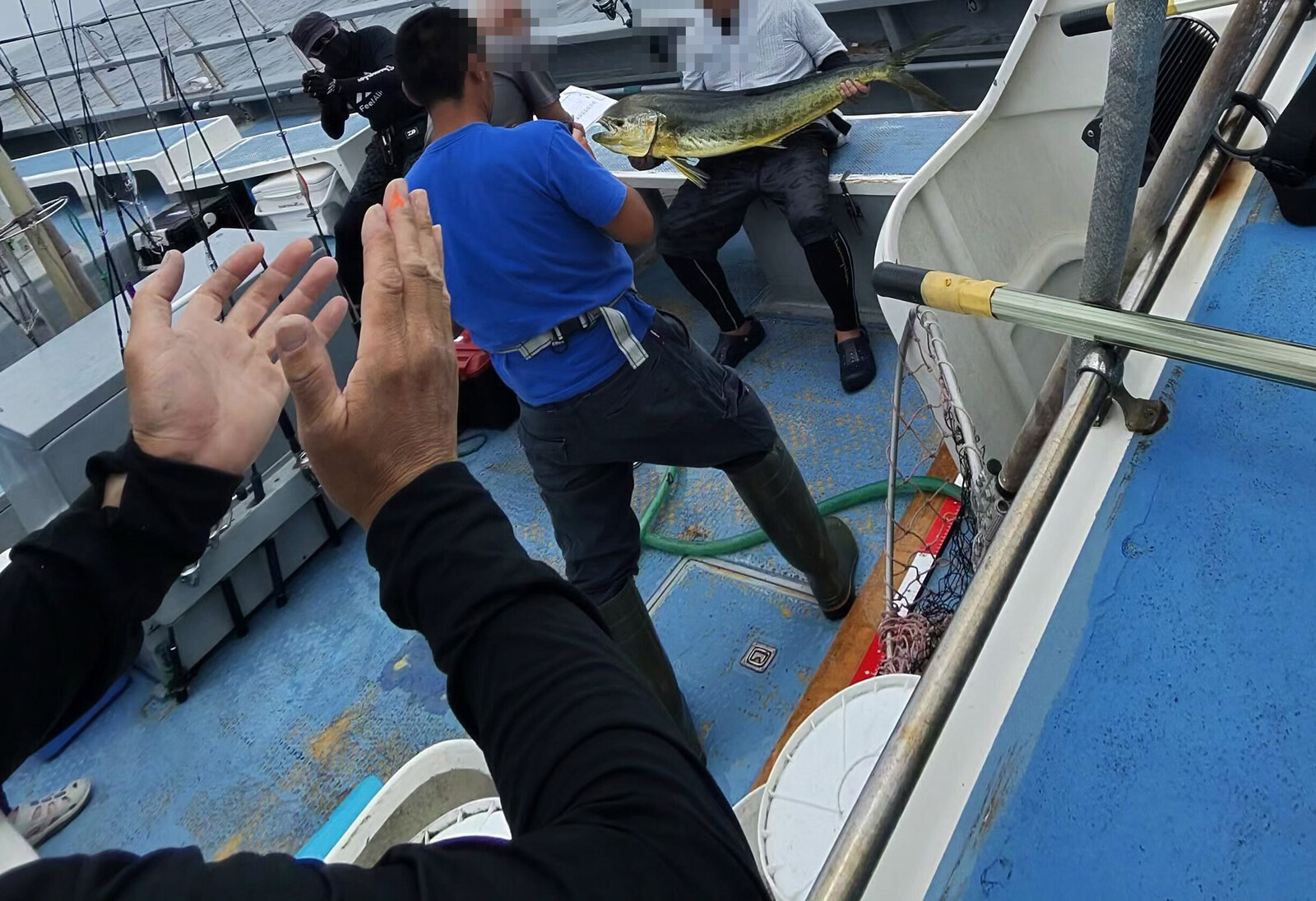 131cmのシイラを釣り上げた瞬間 船上が拍手で沸く